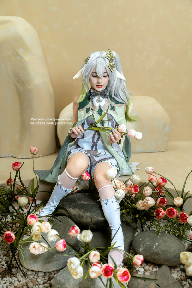 images_063
