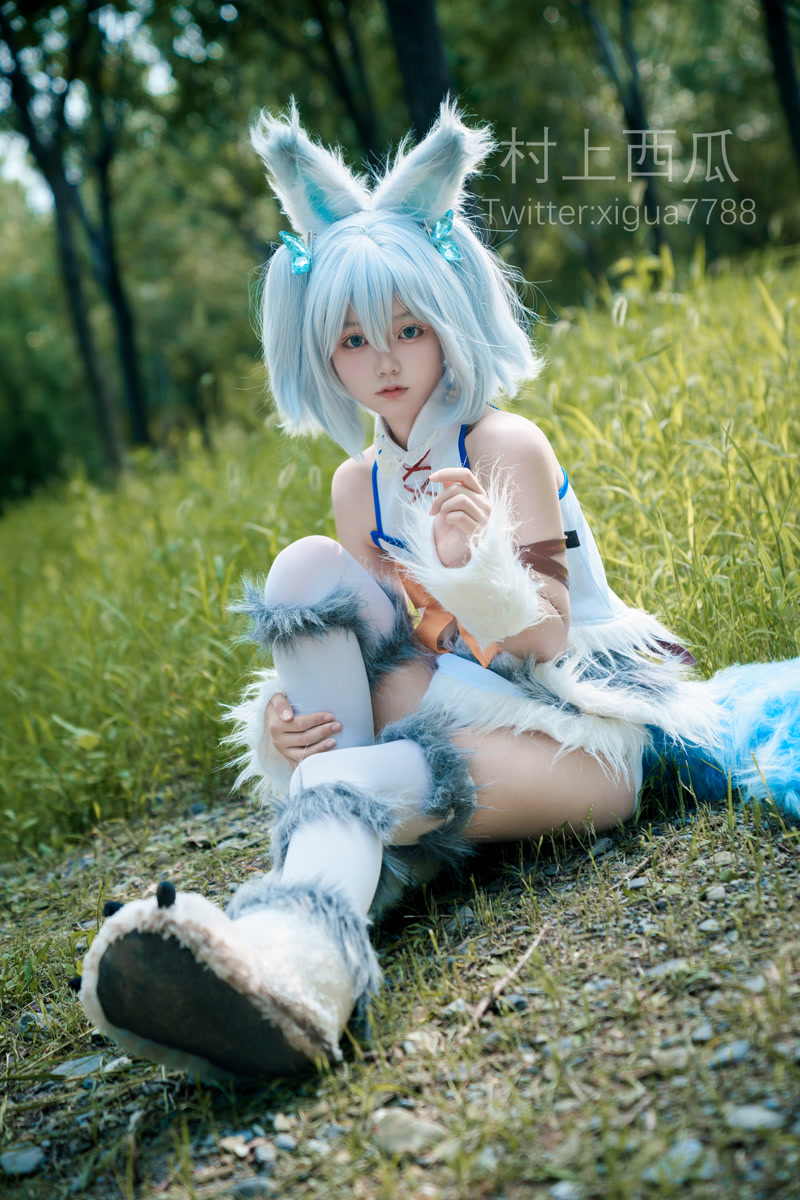 images_082