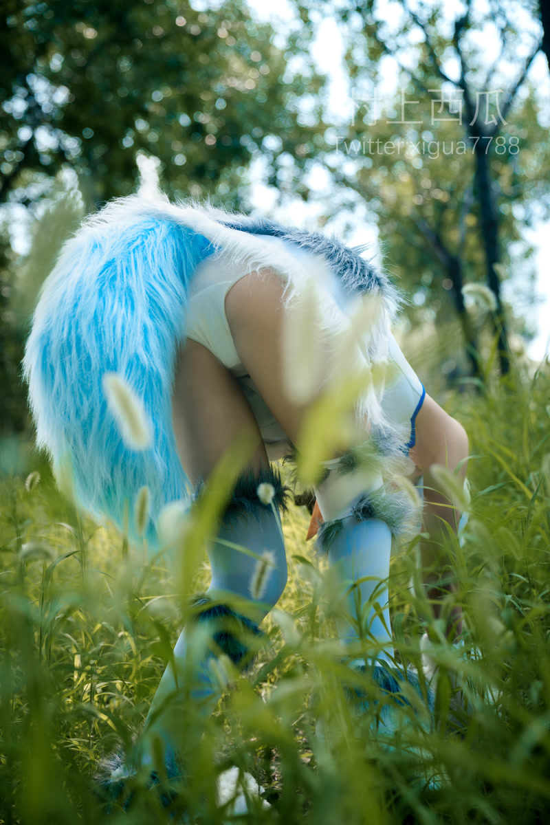 images_091