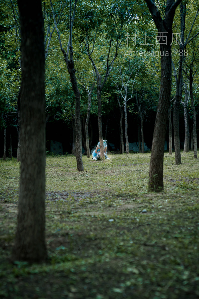images_121