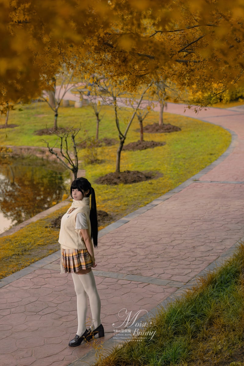 images_065