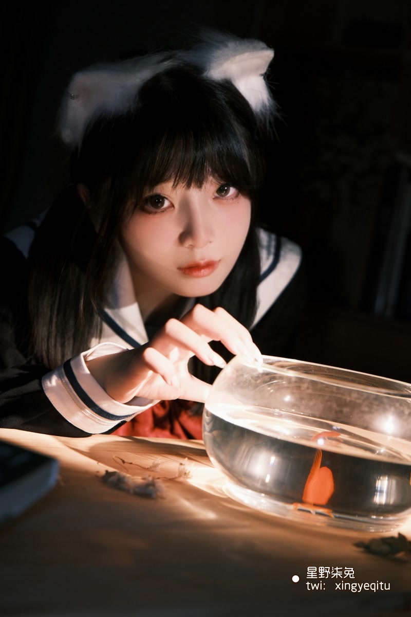 images_095