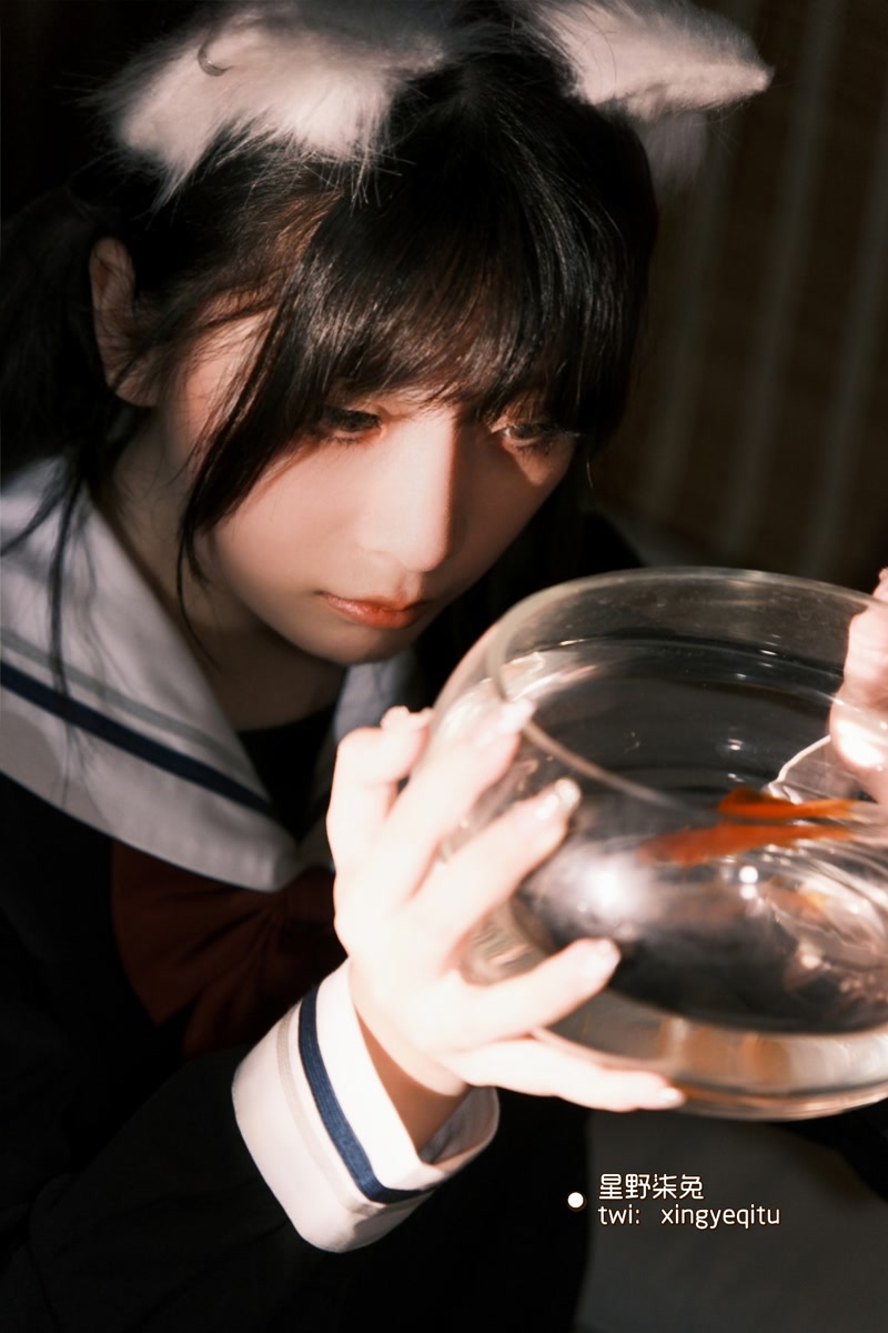 images_099