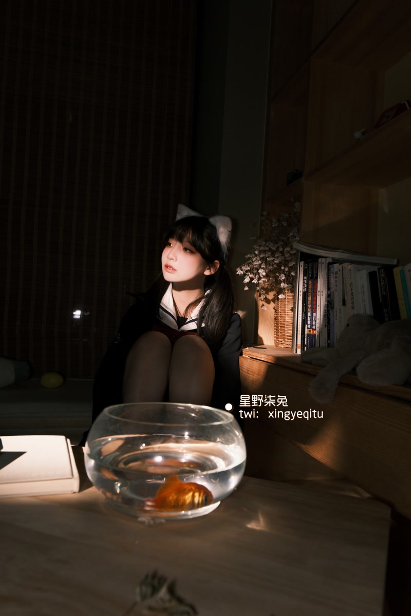 images_113