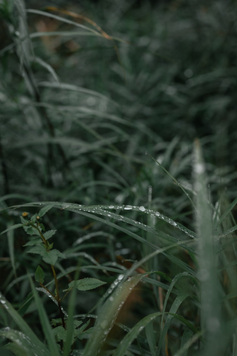 images_199
