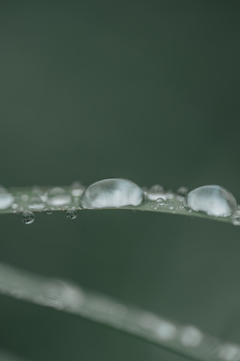 images_200