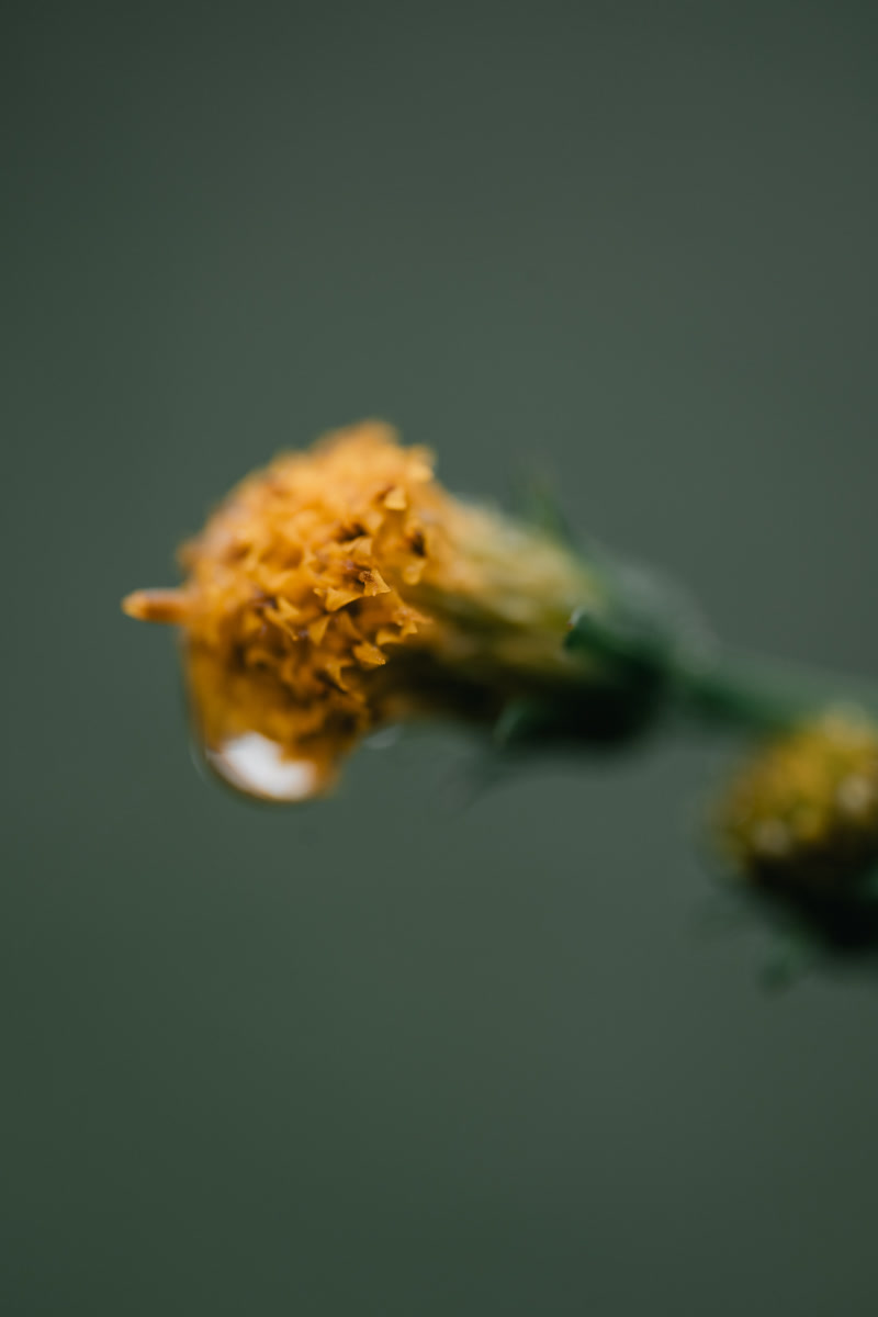 images_201