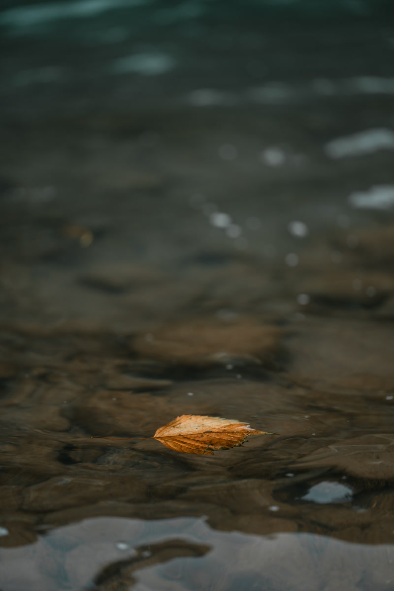 images_203