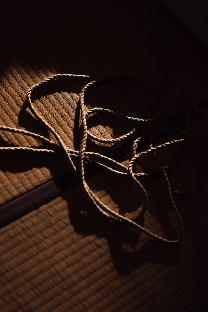 images_316