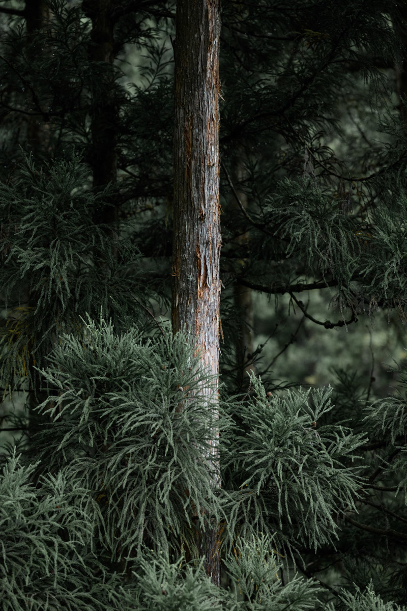 images_318