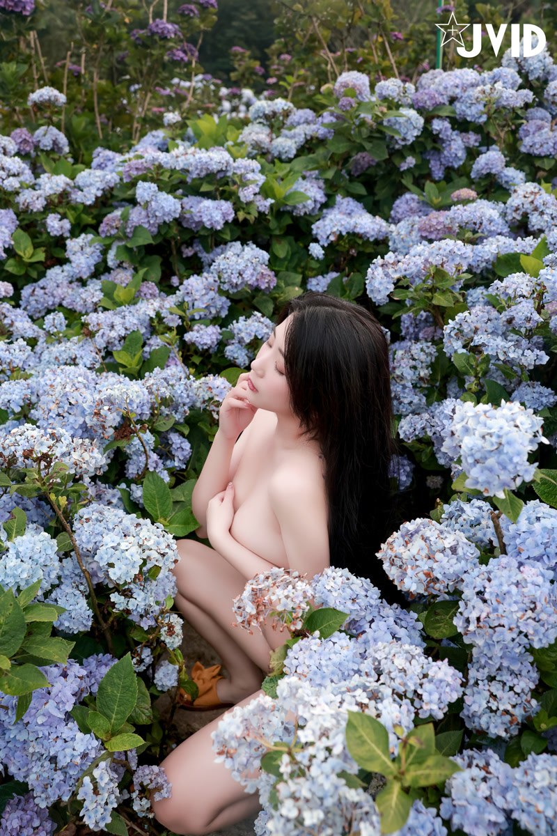 images_161